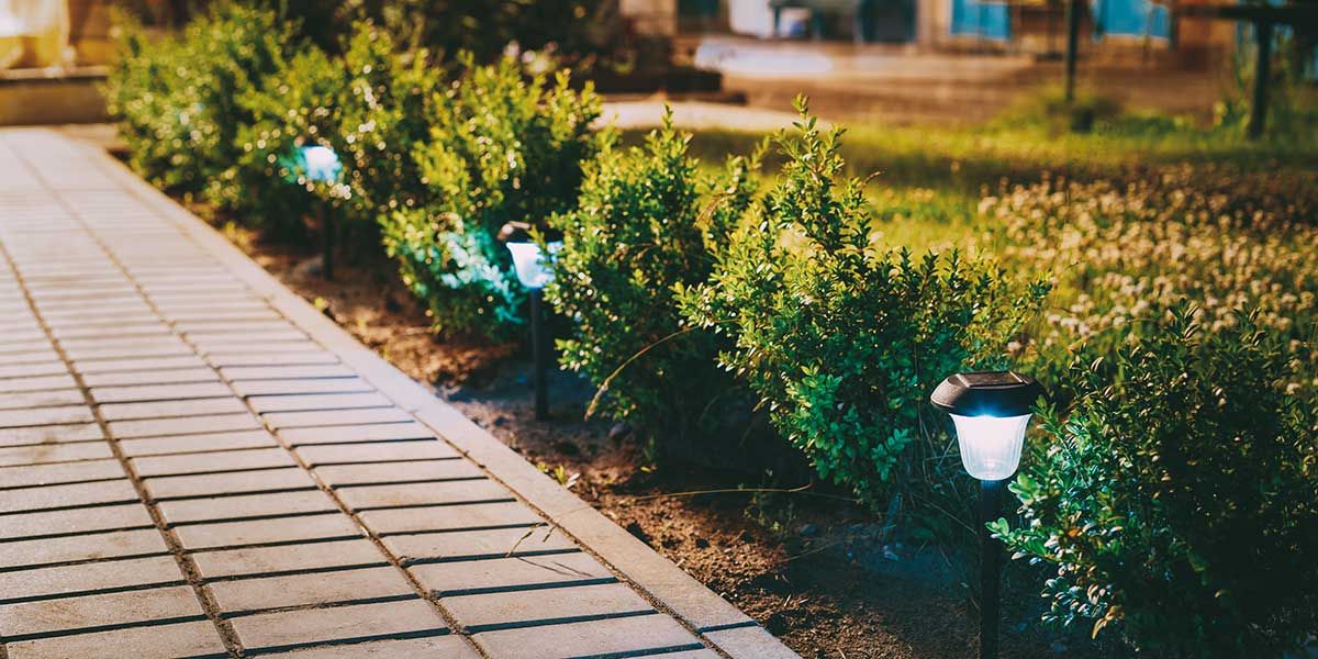 where to place landscape lighting