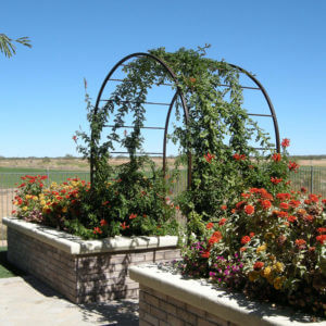 walkway arch with flowers