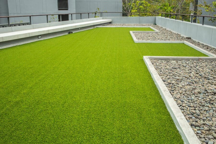 Cover Ground with These Grass Alternatives