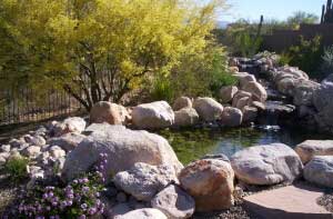 What Type of Water Feature Should You Choose