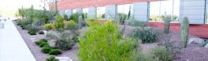 Commercial Landscaping Construction Service.