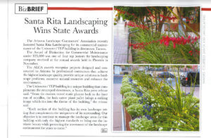 Santa Rita Landscaping Wins State Award