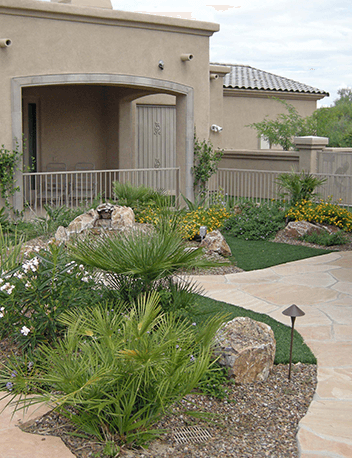 Landscape Company Tucson Santa Rita Landscaping