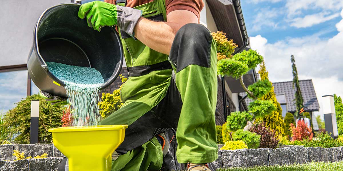 guide to fertilizing your lawn