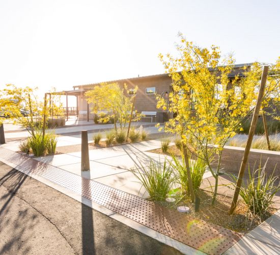 Commercial landscaping Image